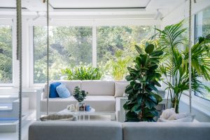 Repairing Rotten Window Frames: Wood Restoration and Sealing